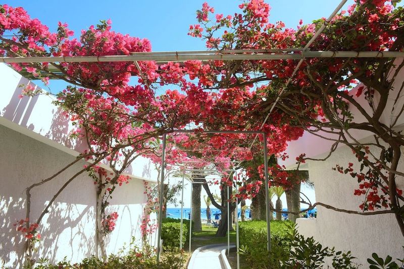 Blue Horizon Hotel - Image 4