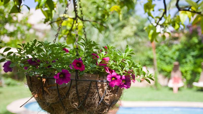 Son Sant Jordi Hotel - Image 8