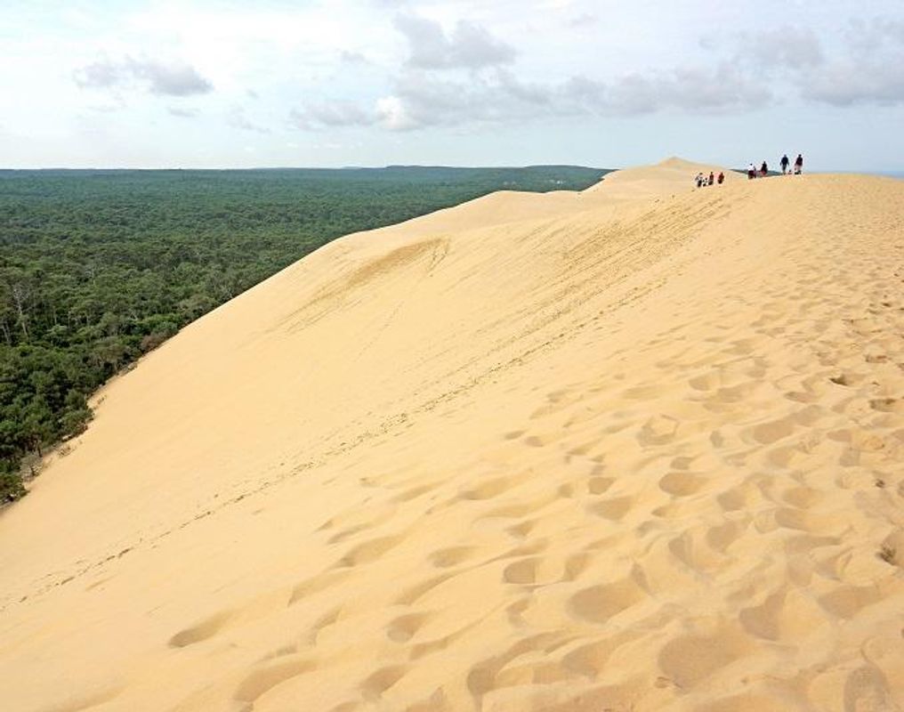 Sandklitter i Arcachonbugten