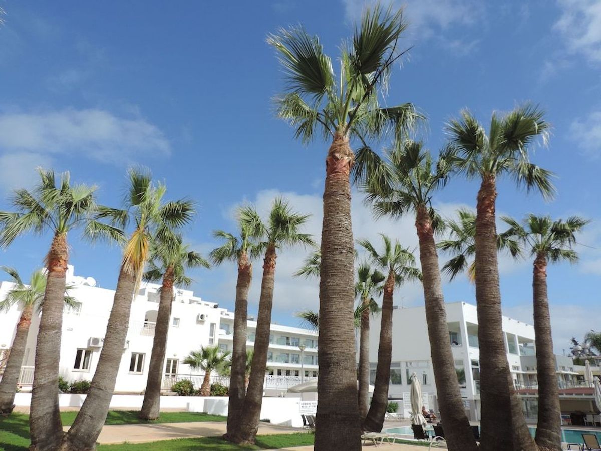 La Casa Di Napa er centralt beliggende i Ayia Napa og er omgivet af smukke palmer. Her bor du i lejligheder og har adgang til et dejligt poolområde.