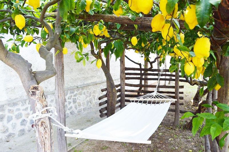 Orto Paradiso - Image 2