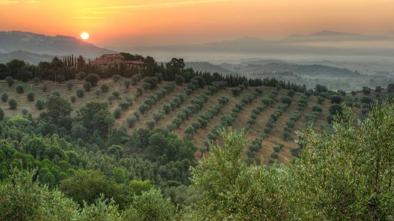 Udsigt over Montebelli Country Hotel, Toscana