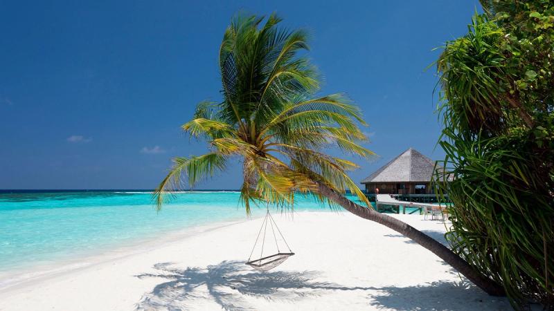 Vilamendhoo Island Resort & Spa - Image 8