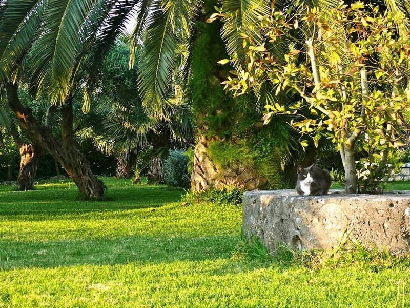 Hotel Nefeli - Image 3