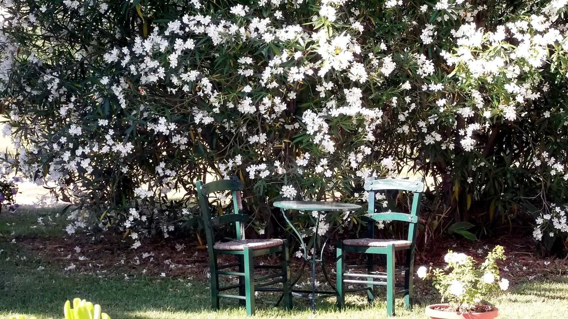 Villa de Loulia Hotel - Image 10
