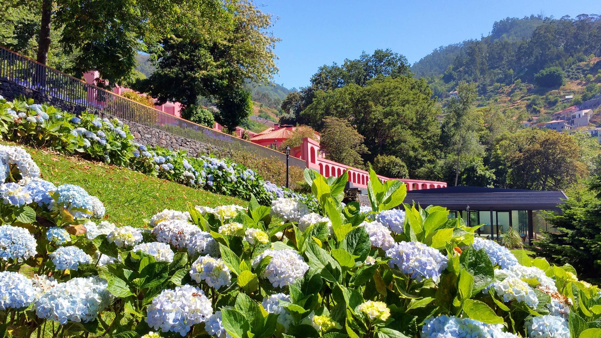 Hotel Quinta da Serra - Image 6