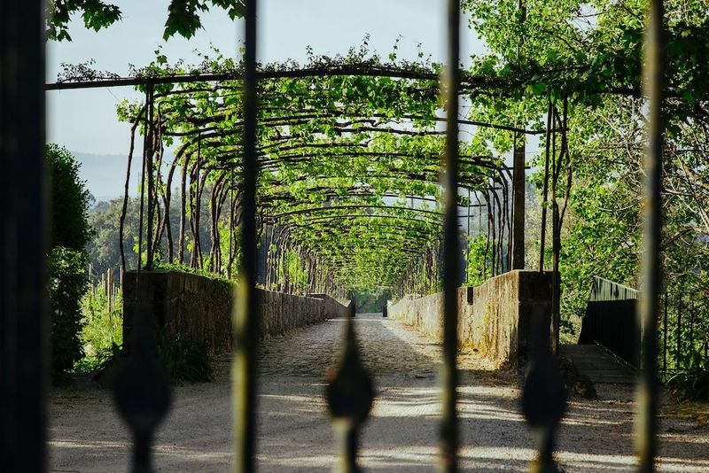 Quinta da Bouca D'Arques - Image 8