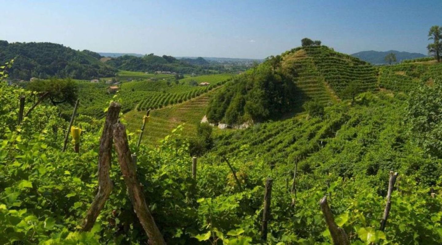 Prosecco vindistrikt i Veneto