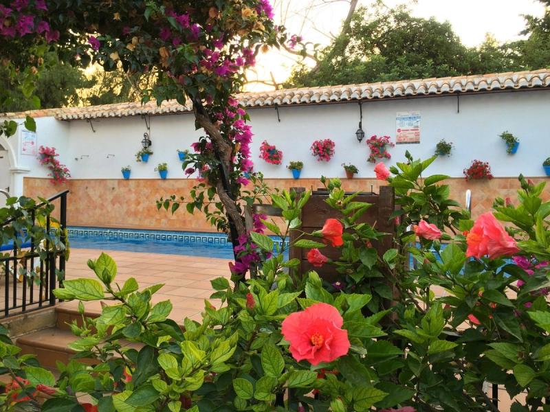 Hotel Carmen Teresa - Image 2