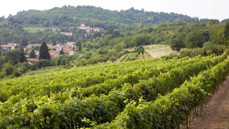 Agriturismo Ca' San Sebastiano - Image 2
