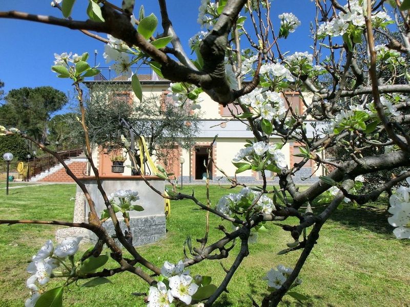 Agriturismo La Pietriccia - Image 10