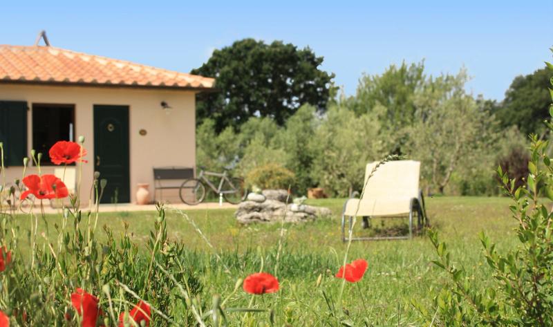 Agriturismo I Sicomori - Image 5