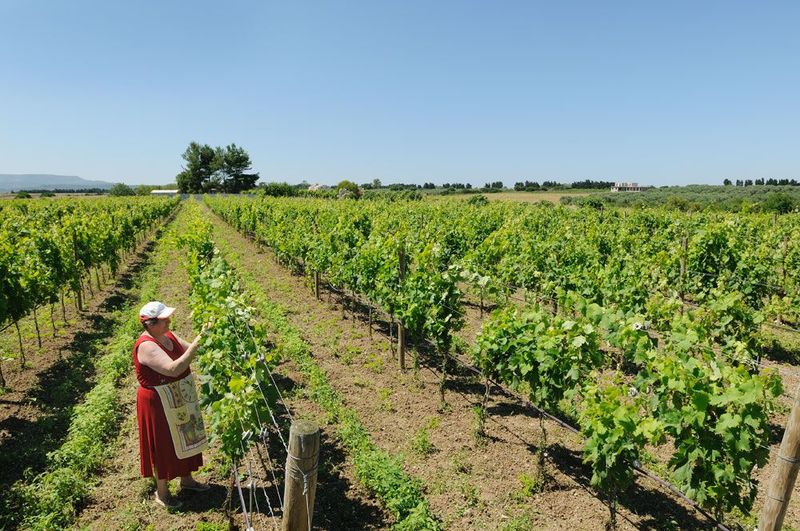 Agriturismo I Vigneti - Image 8