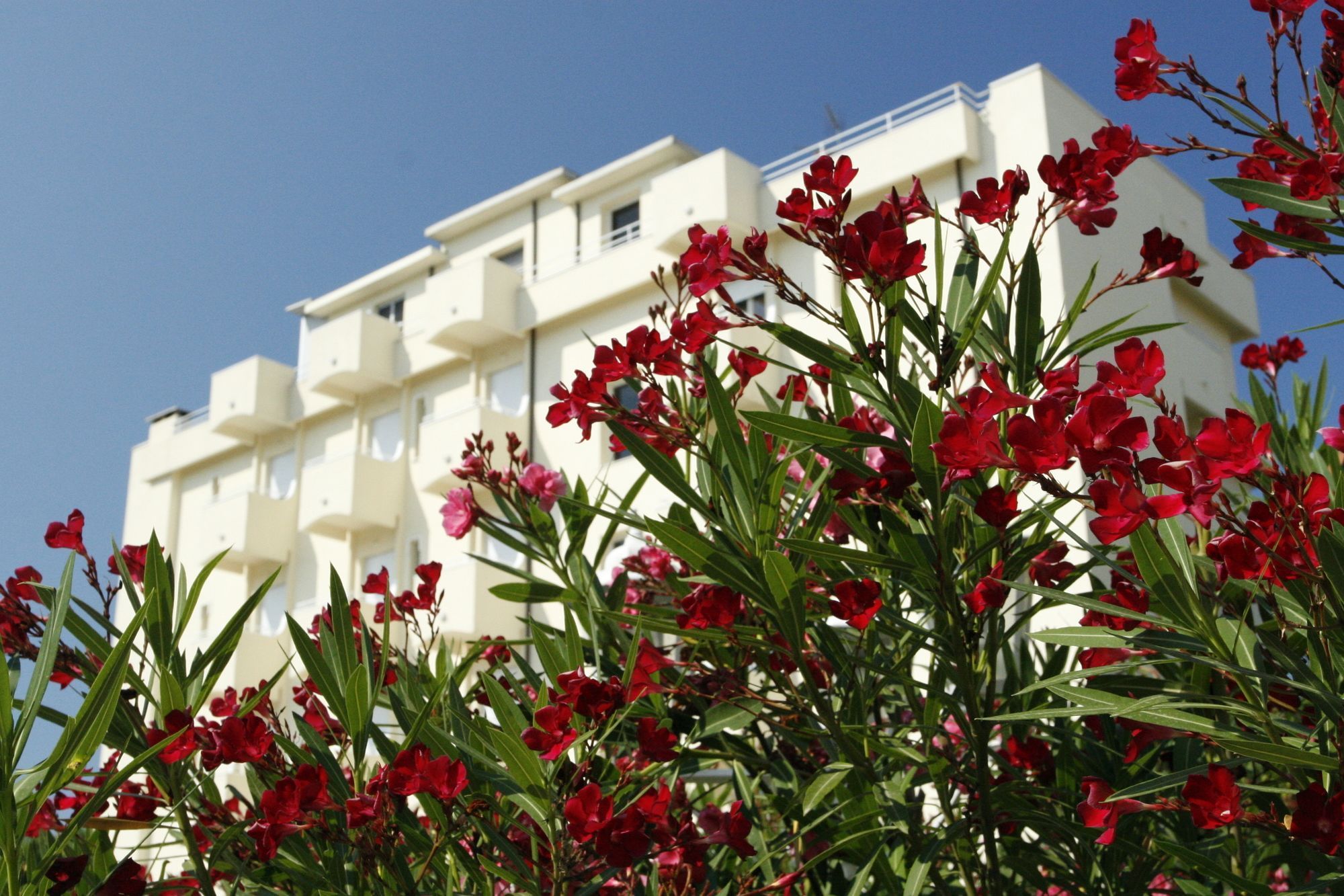 Hotel Sport & Residenza - Image 5