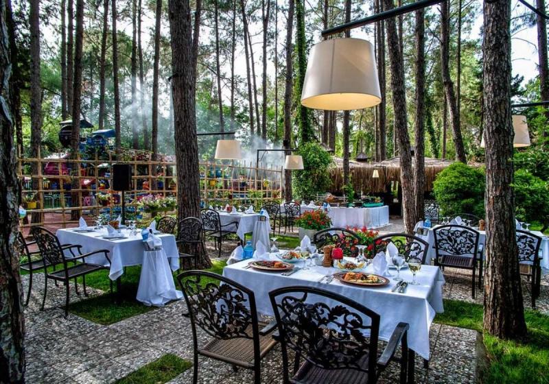 Gypsophila Club Marine - Image 10