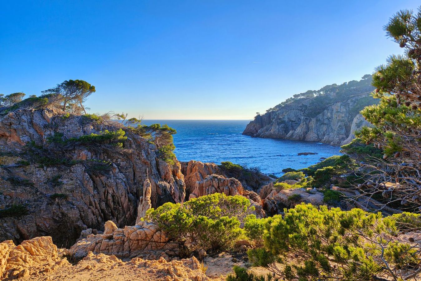 Tallskog och vackra vandringsleder i förgrunden och havet i bakgrunden
