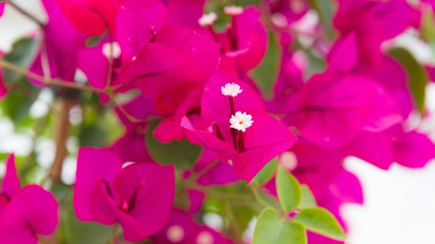 Billede av hotellet Ozadi Heart & Soul Tavira Hotel - nummer 2 af 10