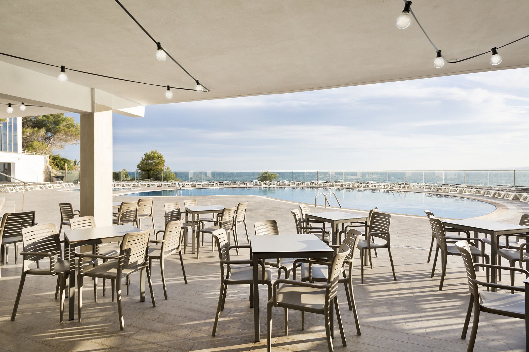 Best Negresco - Image 5