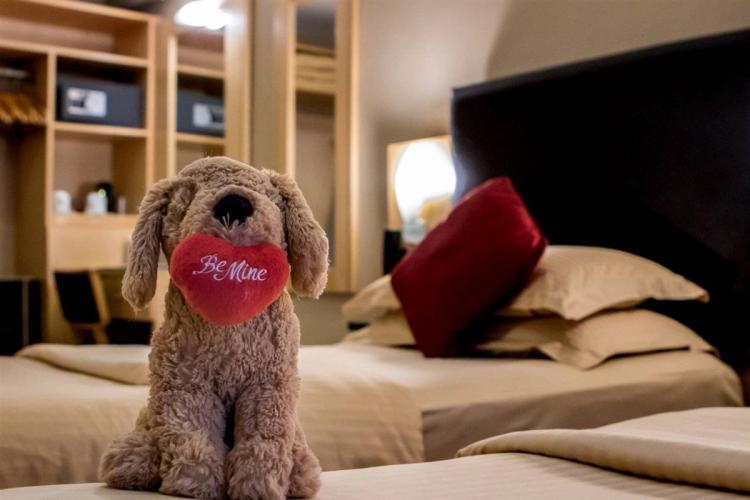 Billede av hotellet Academy Plaza Hotel - nummer 1 af 10