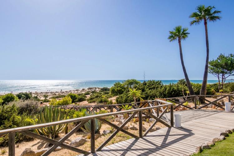 Gangvei ned mellom palmer og små kakuser på vei mot stranden Playa de la Barrosa ved Chiclana de la Frontera