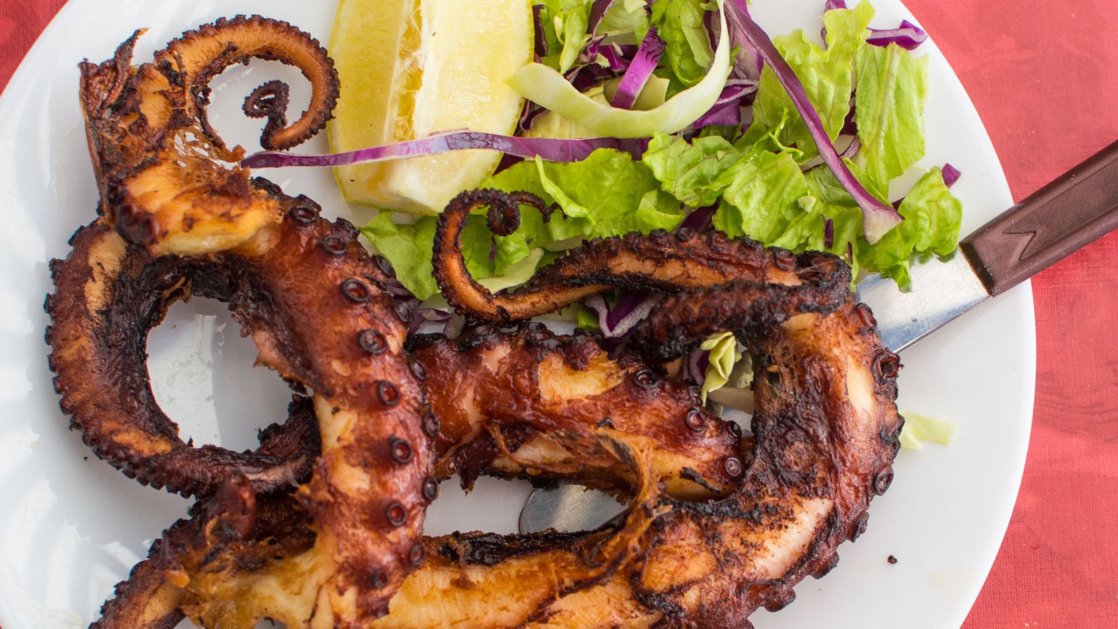 Restaurantene på Tenerife tilbyr et rikt utvalg av blekksprut, fisk og sjømat