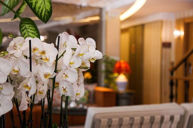 Almina Hotel - Image 8