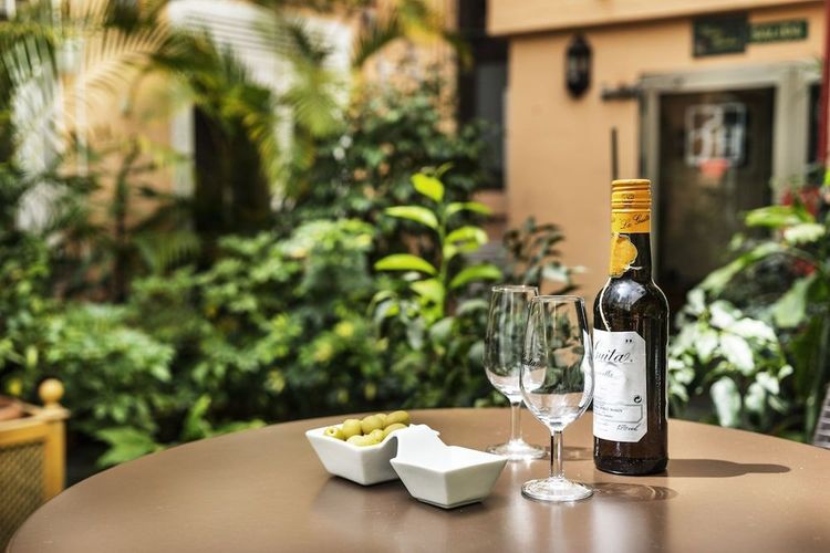 Billede av hotellet San Cristobal - nummer 1 af 10
