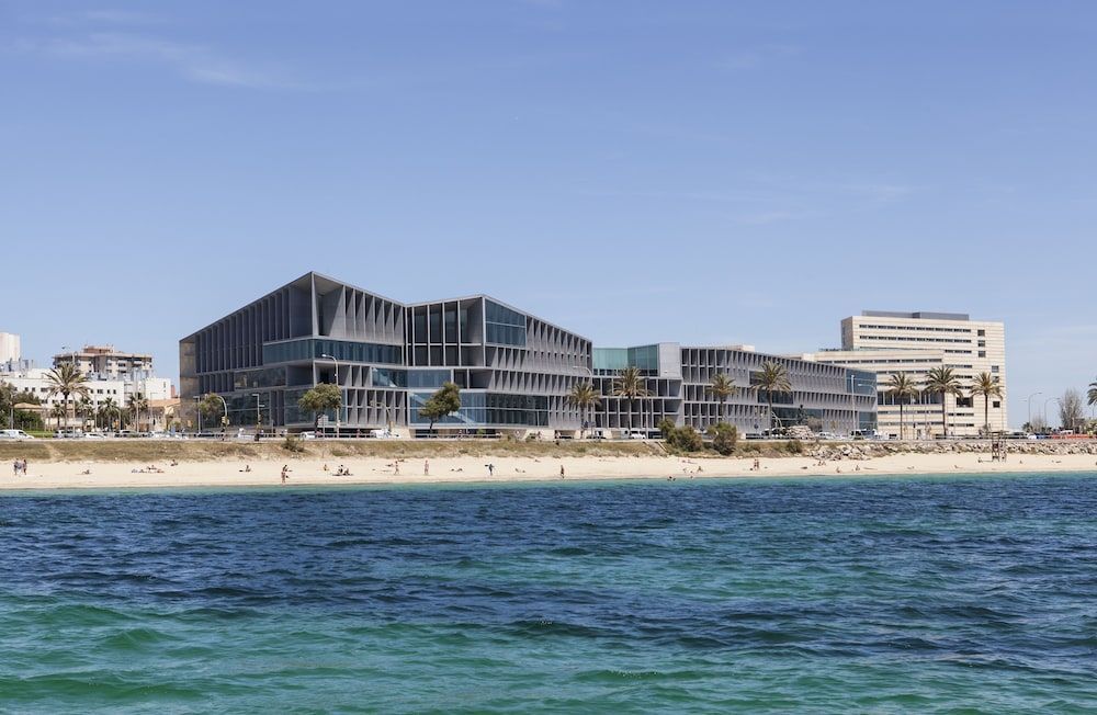 Melia Palma Bay - Image 9