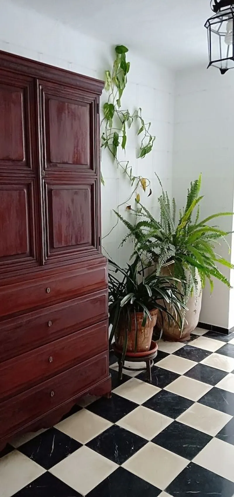 Ca's Bombu
