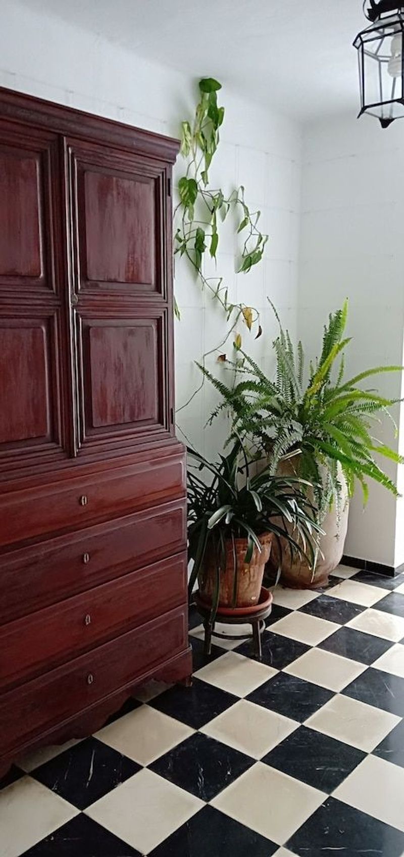Ca's Bombu - Image 1