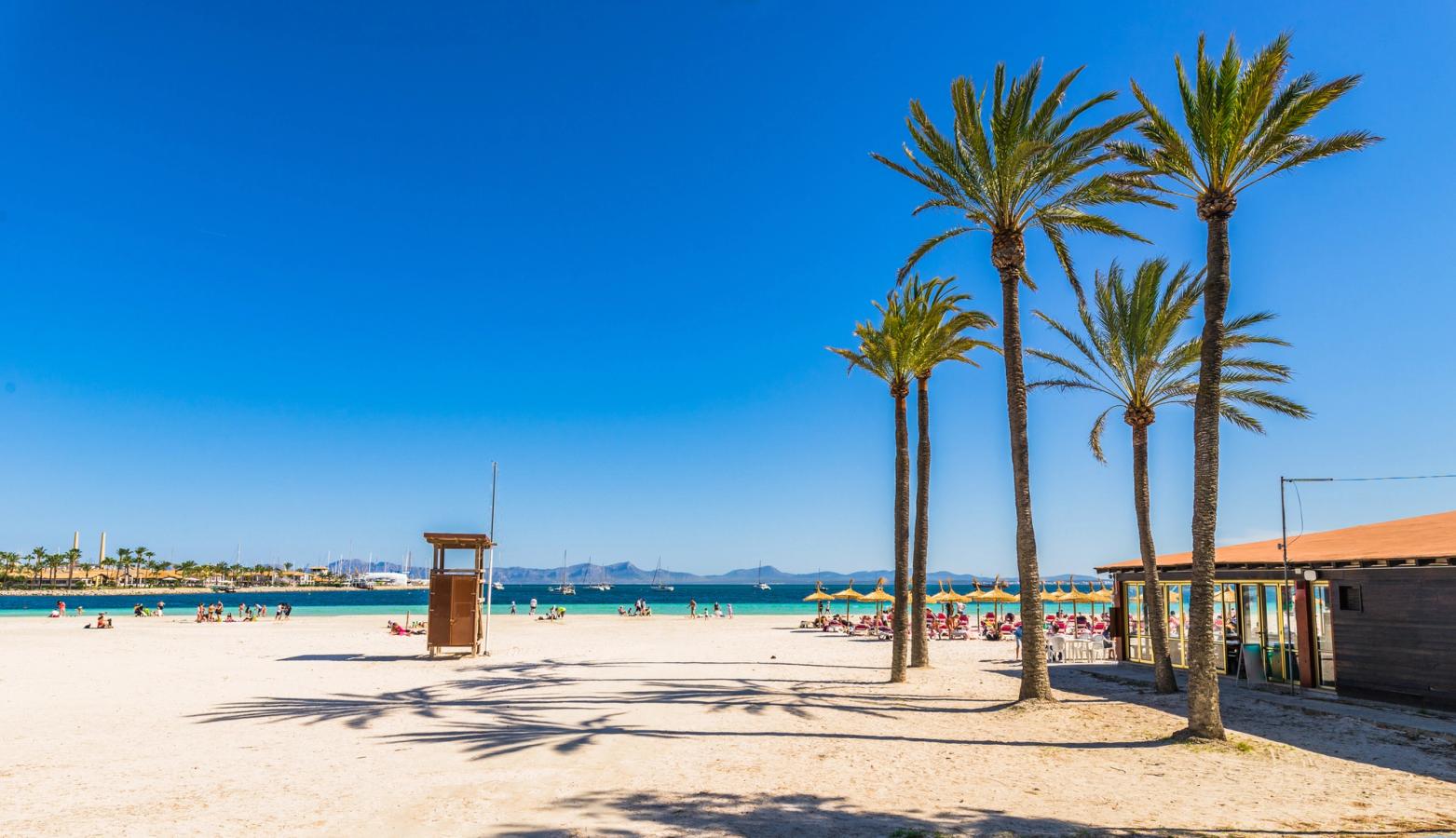 Billedet viser stranden omkring Alcudia på Mallorca. Med nogle palmer, en lille café til højre og alt under en skyfri himmel
