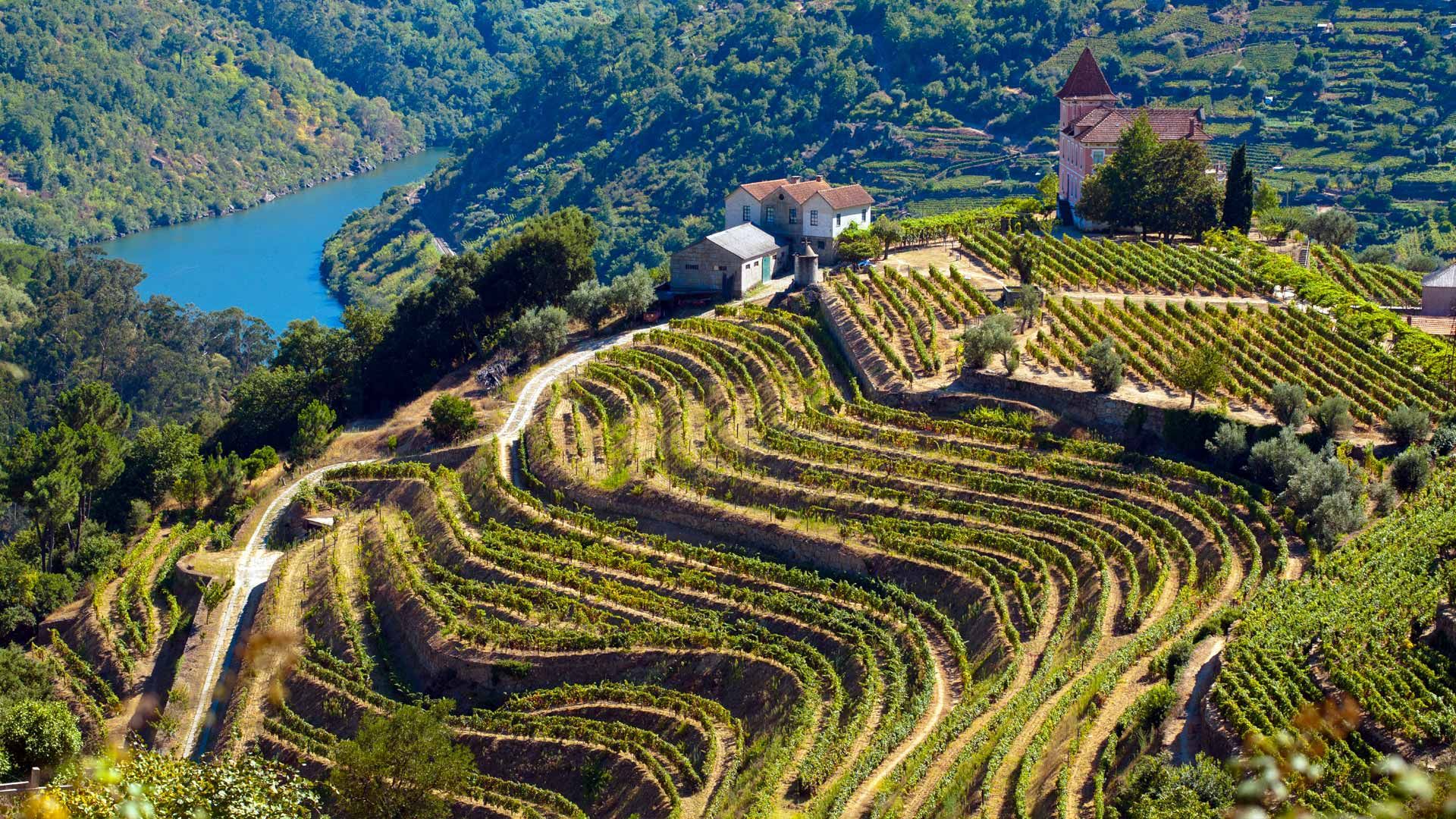 Portugals vackraste vinregion
