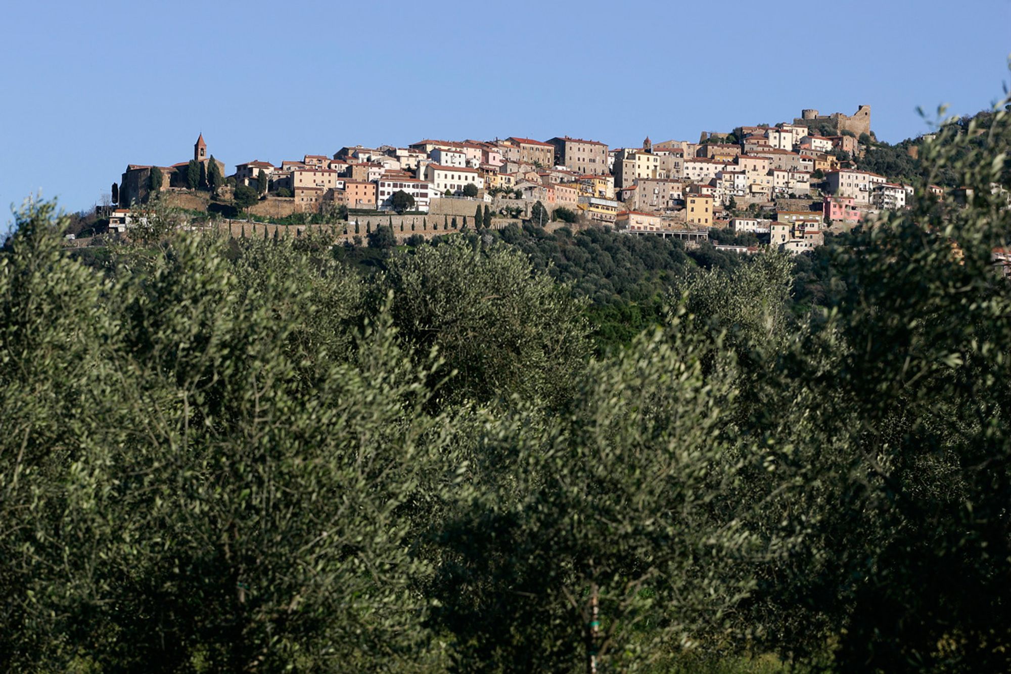 Velkommen til Scarlino