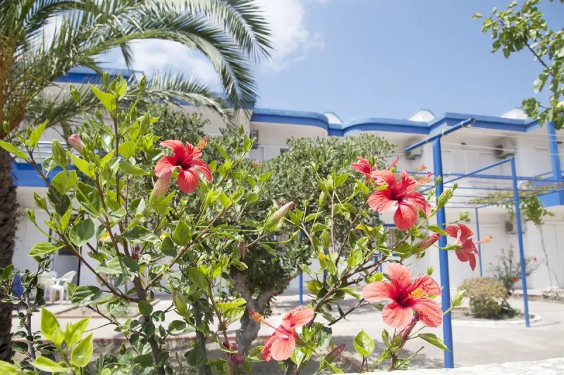 Maritsa Studios