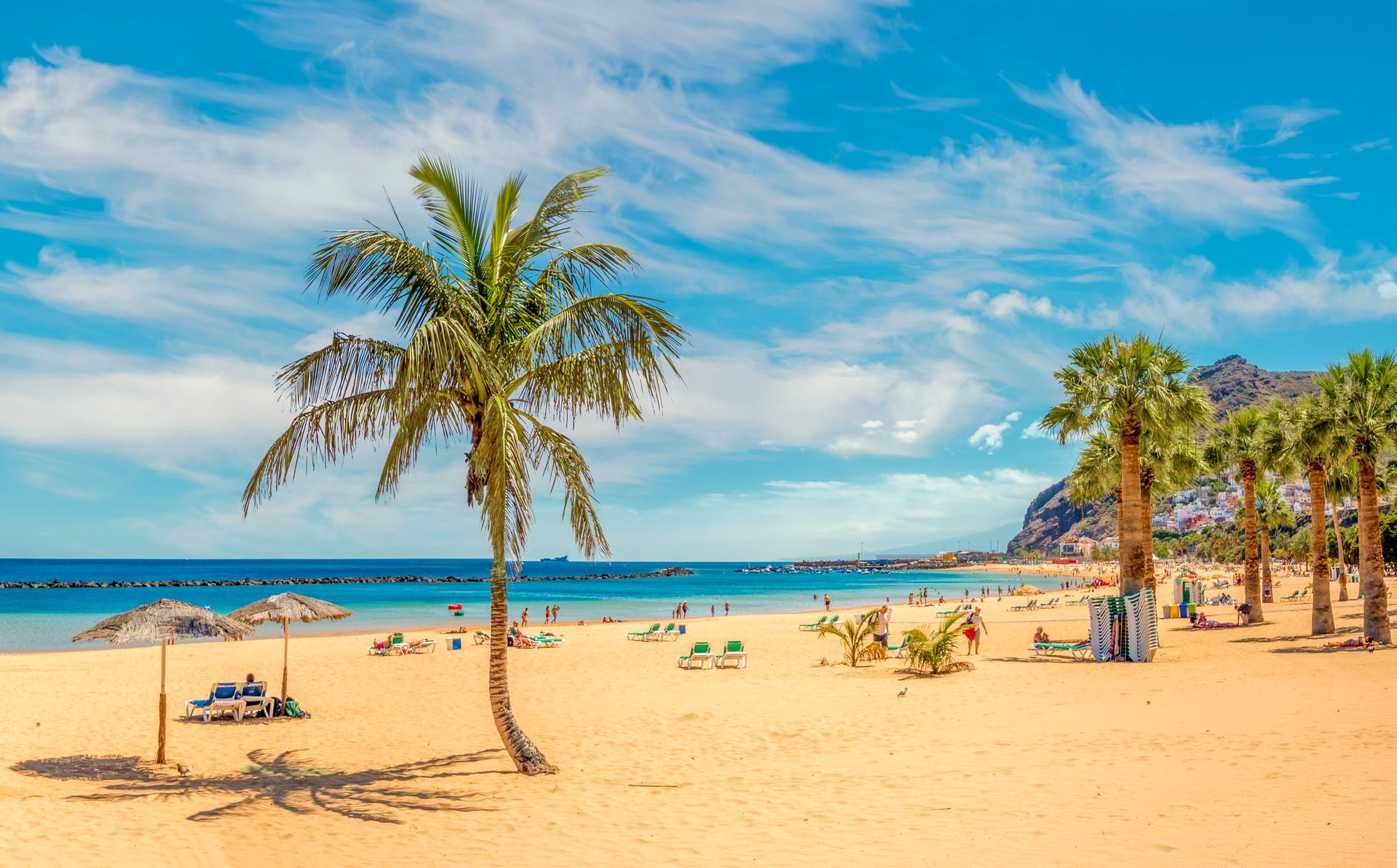 Fra Teresitas Beach på Tenerife. Bildet viser en lengre sandstrand med spredte palmer, stille sjø, solsenger og badegjester.