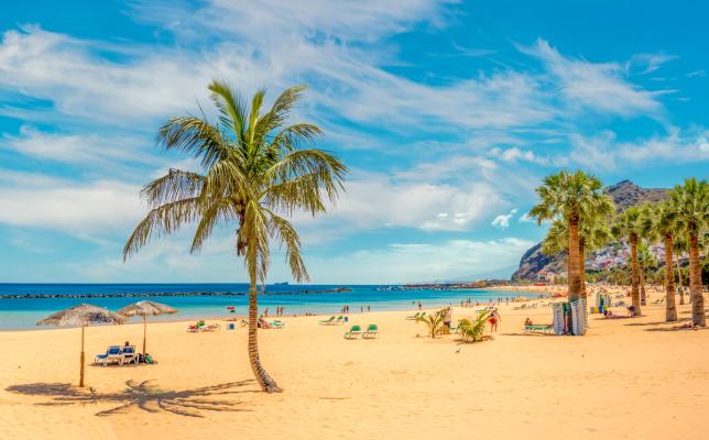 Et klassisk sydenbilde med kilometervis av en finkornet sandstrand, badene i sollys og med spredte palmetrær bortover stranden. Her er bildet i fra Tenerife på Kanariøyene