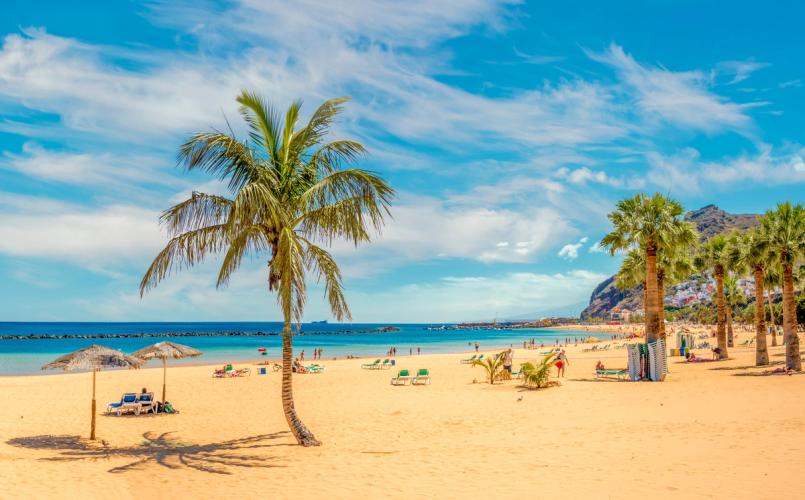 Et klassisk sydenbillede med kilometervis af en finkornet sandstrand badet i sollys og med spredte palmetræer langs stranden. Her er billedet fra Tenerife på De Kanariske Øer.