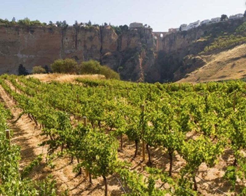 Hotel Ronda Valley - Image 6
