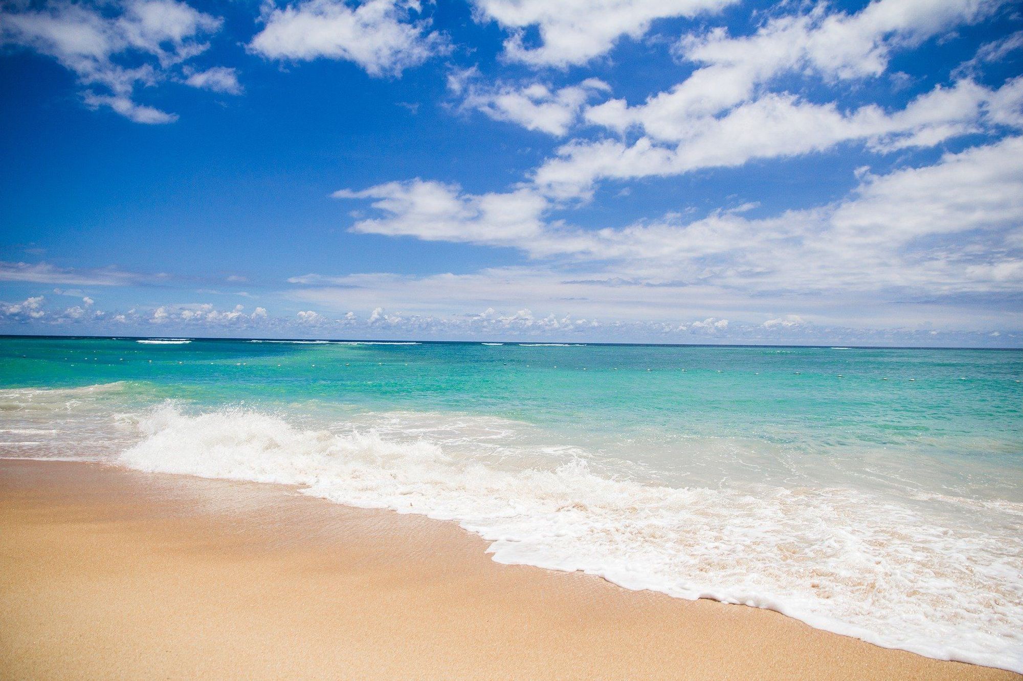 Velkommen til Sunny Beach