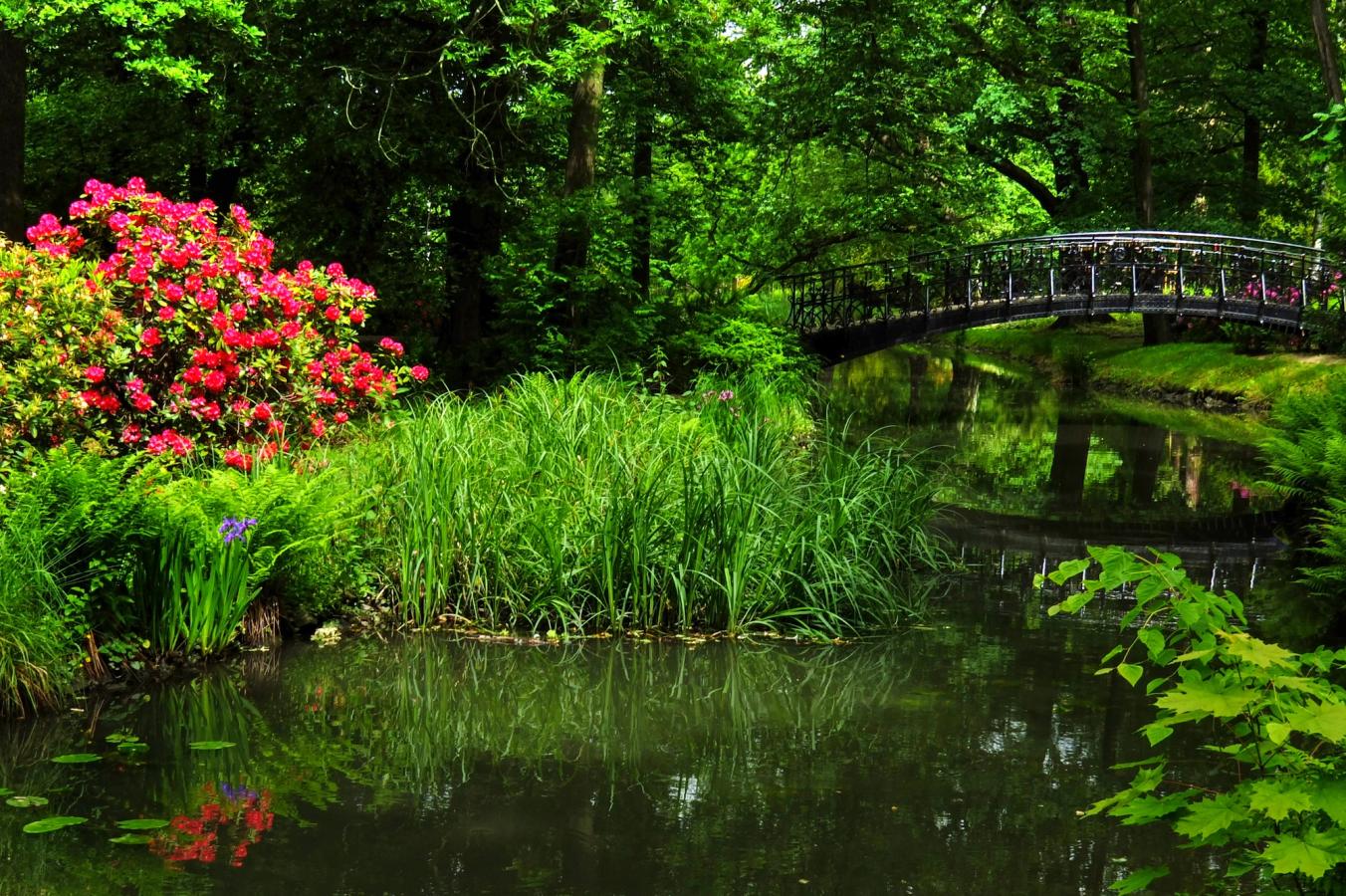 Billedet er et udsnit fra Den Japanske Have i Szczytnicki Park i Wroclaw. Vi ser en stille bæk, der løber under en buet bro, i midten af billedet. På hver side af bækken er der grøn og frodig vegetation med røde blomster til venstre i billedet.