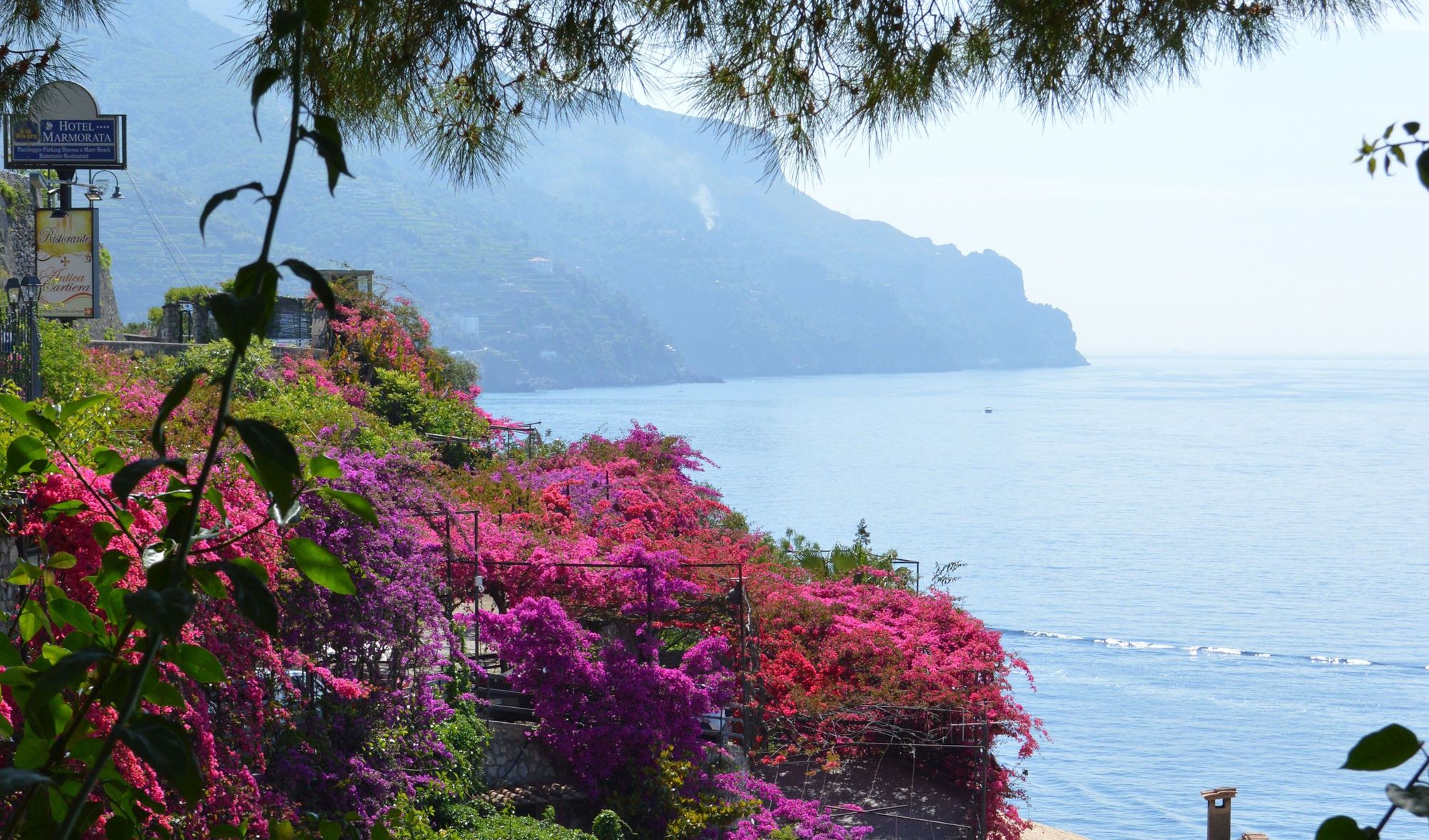 Utsikt över Amalfikusten med färgglada blommor och vacker natur