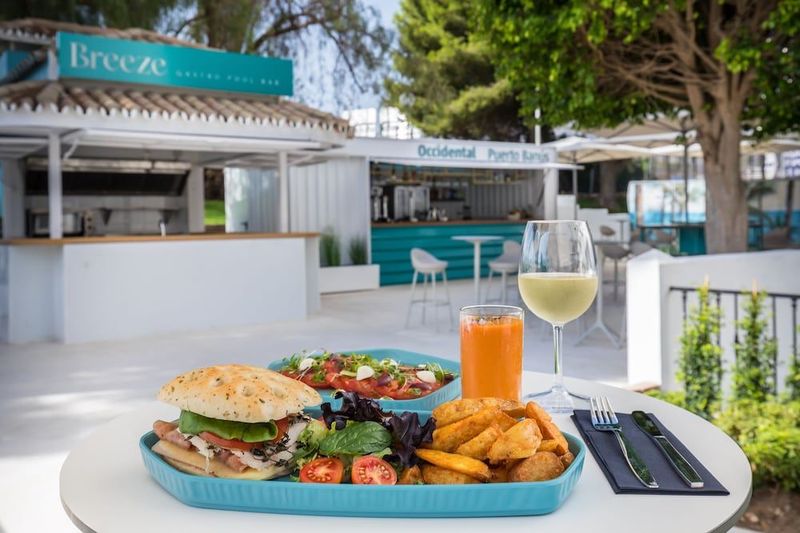 Occidental Puerto Banus - Image 10