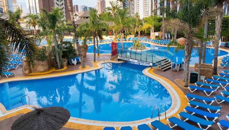 Hotel Flamingo Oasis - Image 3