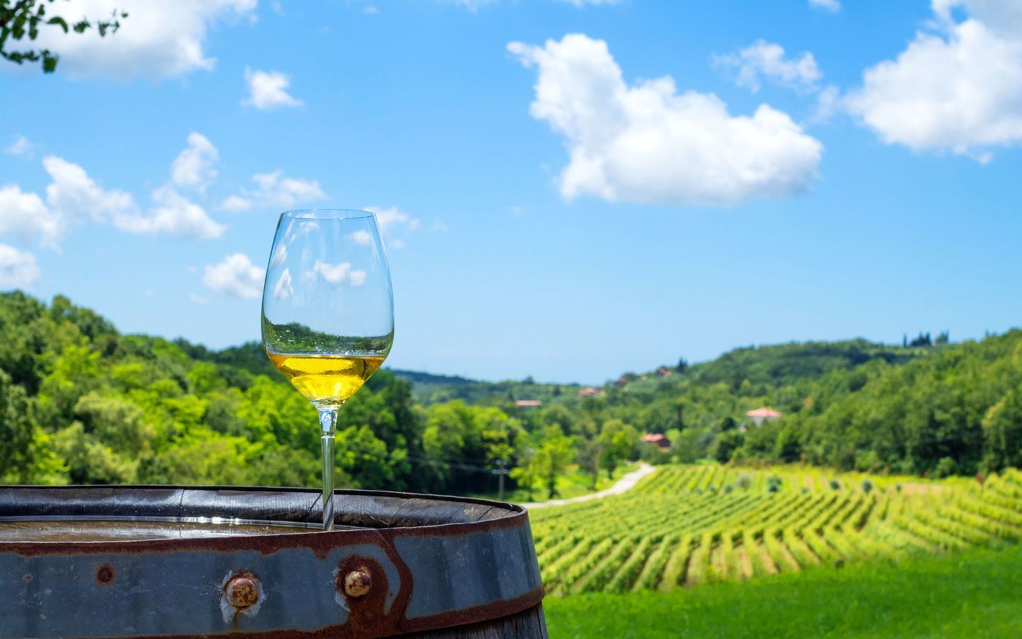 Ett glas vitt vin placerat på ett vintunnor med utsikt över gröna vinodlingar och en blå himmel med några moln.