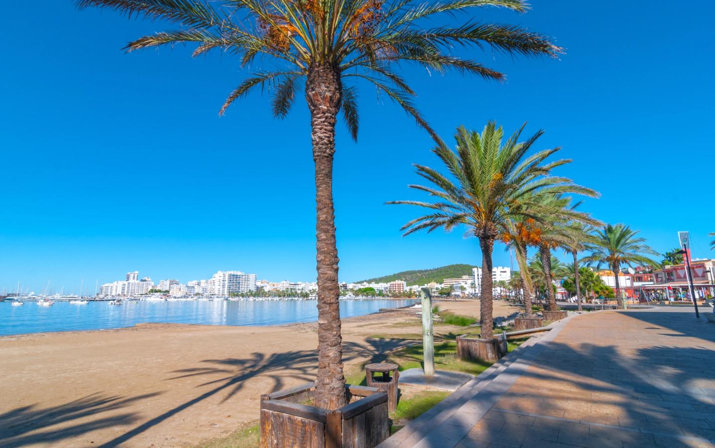 Bilden visar stranden i Sant Antoni de Portmany med palmer i förgrunden och stranden och havet i bakgrunden
