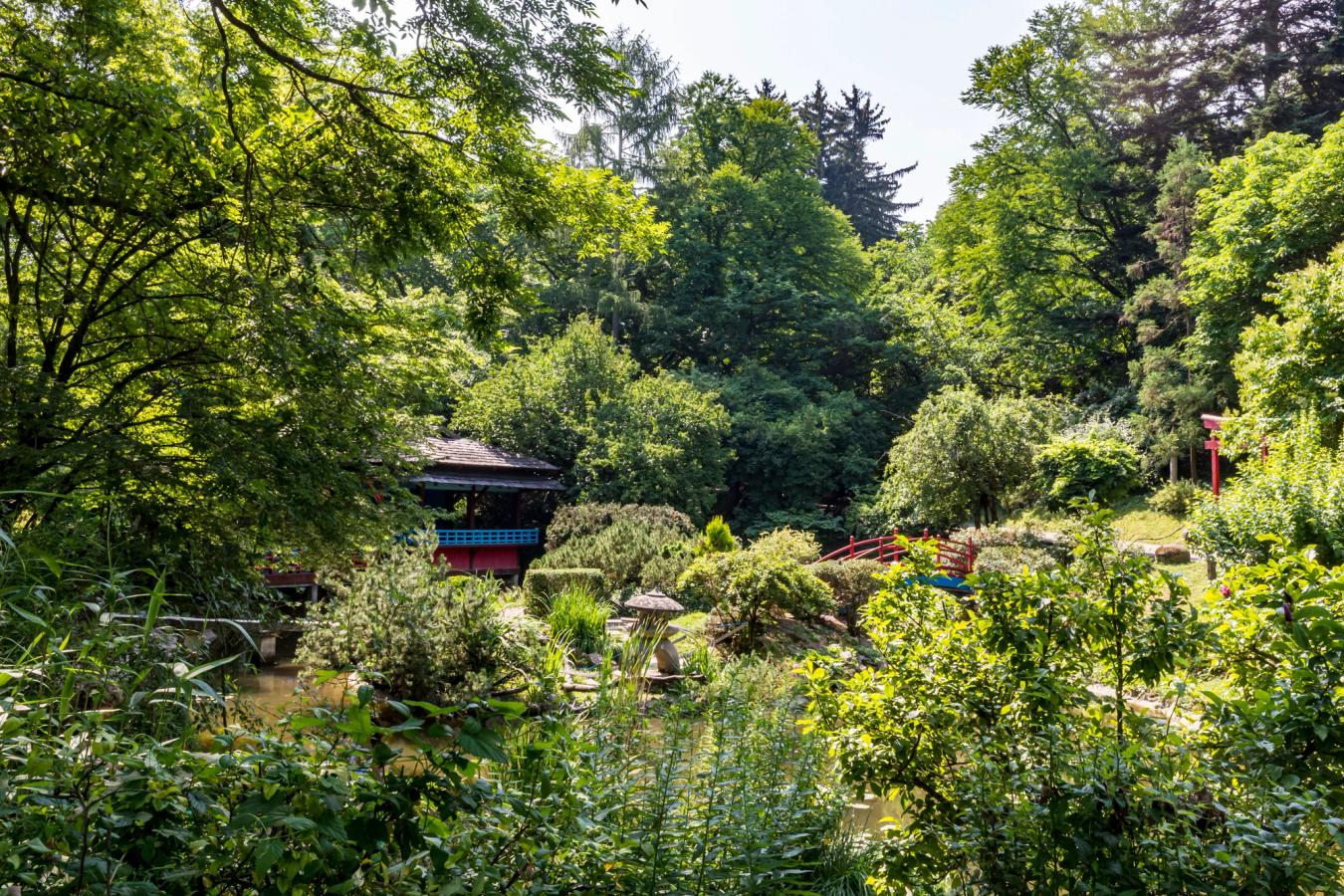 Billedet er fra Den Botaniske Have i Cluj-Napoca, tidligere kaldt Alexandru Borza. Her løber små bække med små broer i et ellers frodigt havelandskab