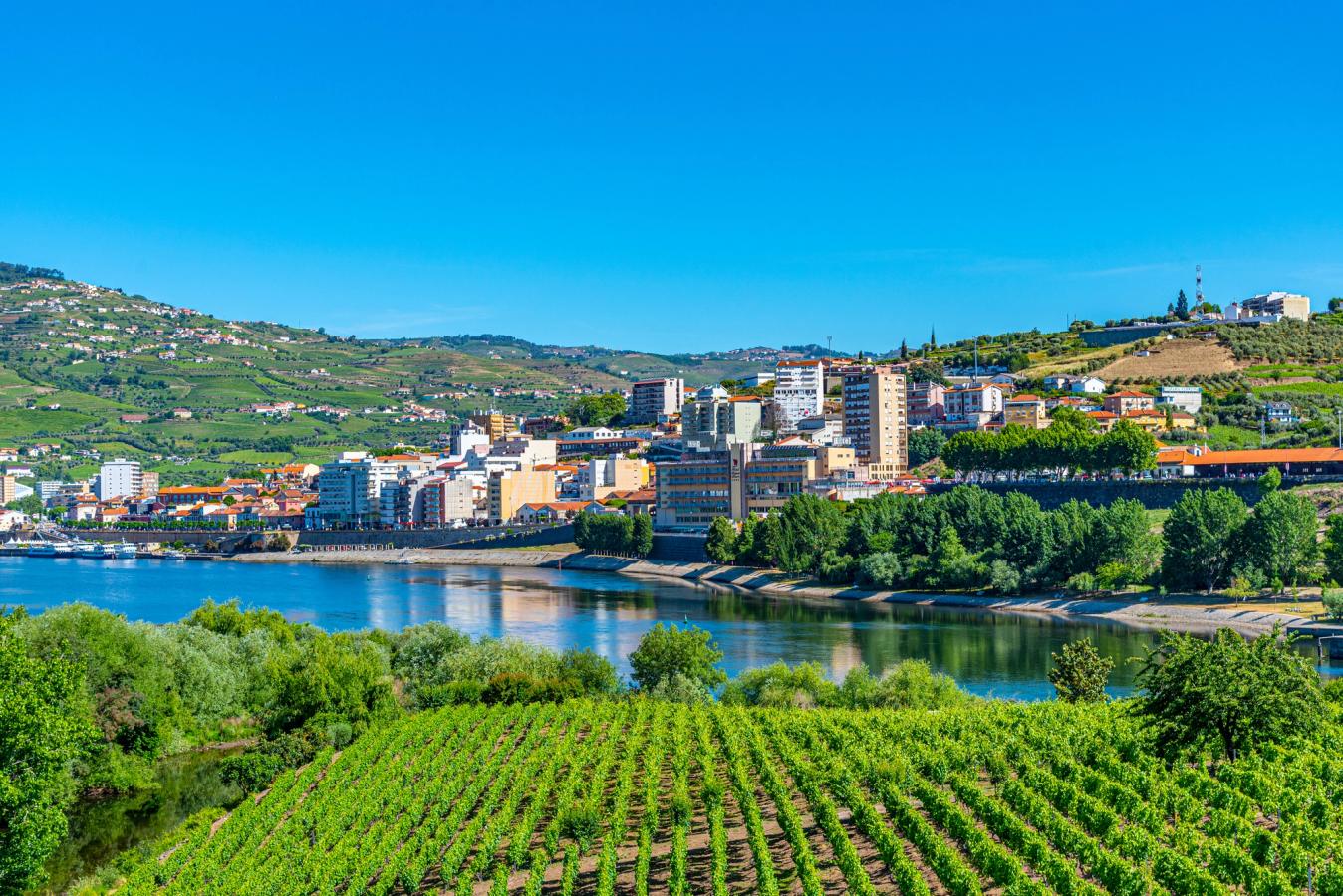 Utsikt över vinstaden Peso da Régua i Dourodalen