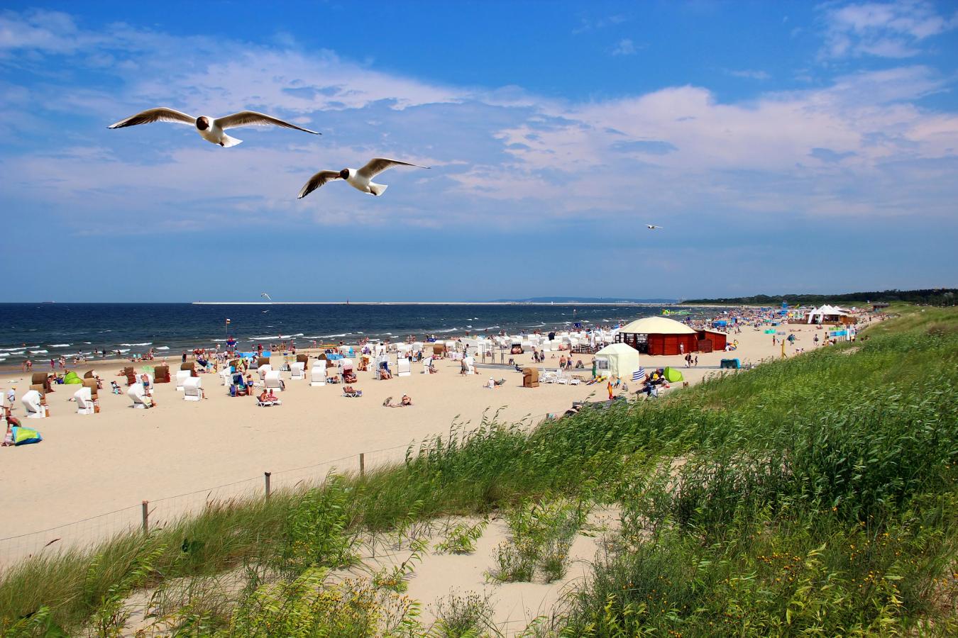 Bilden visar stranden utanför Swinoujscie med de klassiska strandstolarna runt Östersjön. Folk fyller stranden medan två måsar flyger över stranden.