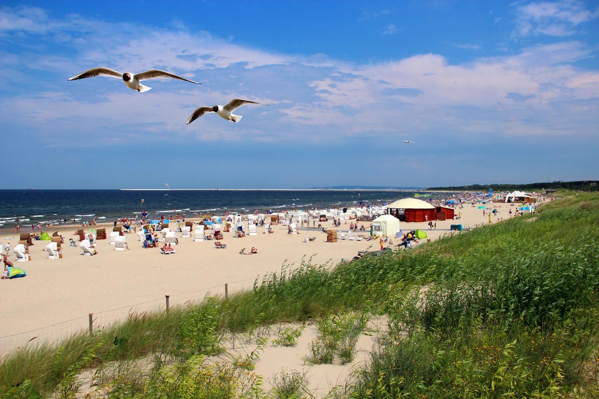 Billedet viser stranden uden for Swinoujscie med de klassiske strandstole, som man kender fra Østersøen. Stranden er fyldt med mennesker, mens to måger flyver hen over den.