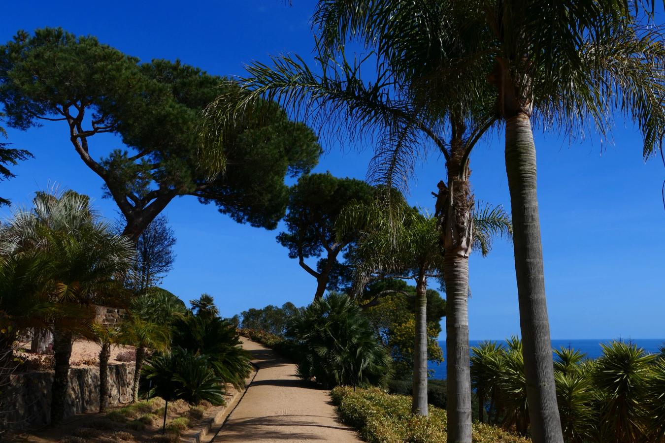 Den botaniske hagen Jardins de Cap Roig i Calella de Palafrugell på Costa Brava